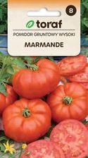 Zdjęcie Winoszarnia Pomidor Gruntowy Wysoki Marmande Nasiona 346 Toraf - Łęczyca