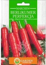 Zdjęcie Garden Number One Marchew Berlikumer Perfekcja Nasiona 3g - Brusy