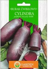 Zdjęcie Garden Number One Burak Ćwikłowy Cylindra Nasiona 20g - Dolsk