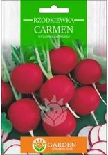 Zdjęcie Garden Number One Rzodkiewka Carmen Nasiona 10g - Nowe
