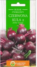 Zdjęcie Garden Number One Burak Ćwikłowy Czerwona Kula Nasiona 10g - Resko