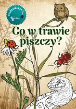 Zdjęcie Co W Trawie Piszczy. Kolorowanka - Kobyłka