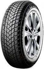 Gtradiol Winterpro2 205/55R16 91H