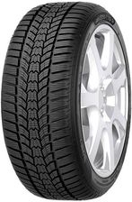 Sava Eskimo HP2 205/60R16 96H