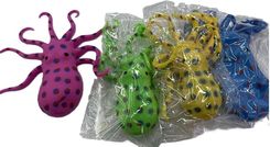 Zdjęcie Adar Gniotek Ośmiornica - Szlichtyngowa