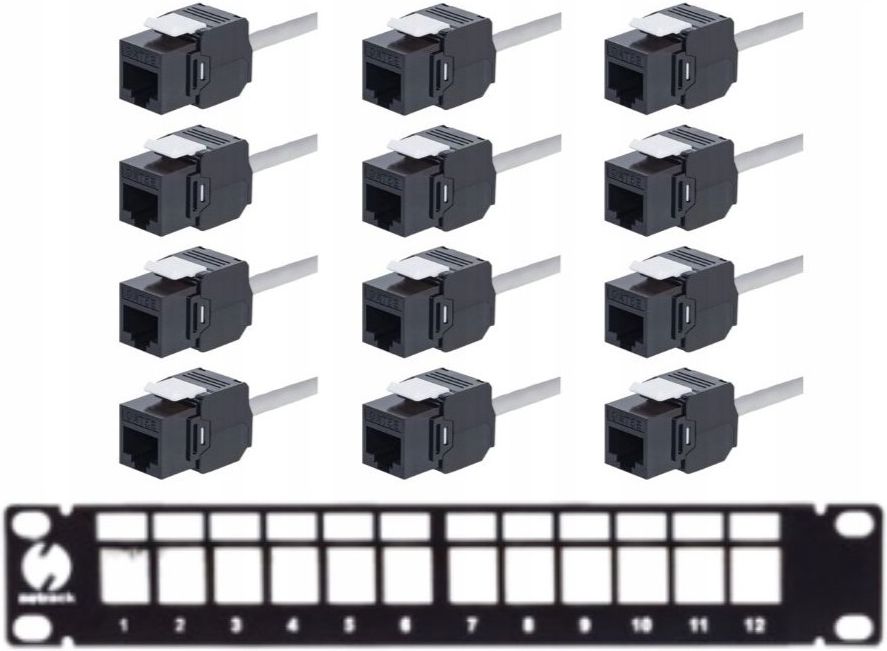 Netrack Patch panel keystone Rack 10 12 porty, Utp, wyposażony ...