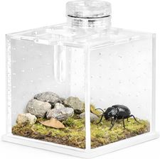 Zdjęcie Terrario Spidernook L Mini Terrarium Akrylowe Z Oświetleniem - Dolsk