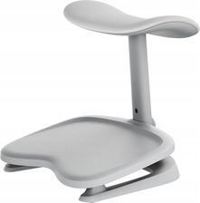 Zdjęcie Podnóżek Regulowany Ergonomiczny SPACEGREY szary 6978343440026 - Krzyż Wielkopolski
