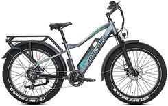 Zdjęcie Rower elektryczny JOBOBIKE Robin Pro szary 48V 20Ah - Radomsko