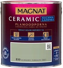 Zdjęcie Magnat Ceramic Farba Ceramiczna Oliwkowy Turmalin B30 Mat 2,5l - Ustroń