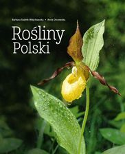 Zdjęcie Rośliny Polski - Katowice