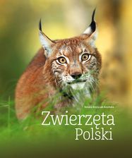 Zdjęcie Zwierzęta Polski - Szprotawa