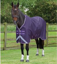 Zdjęcie Zewnętrzna derka dla koni Premier Equine Stratus 600D Series Original - Prochowice