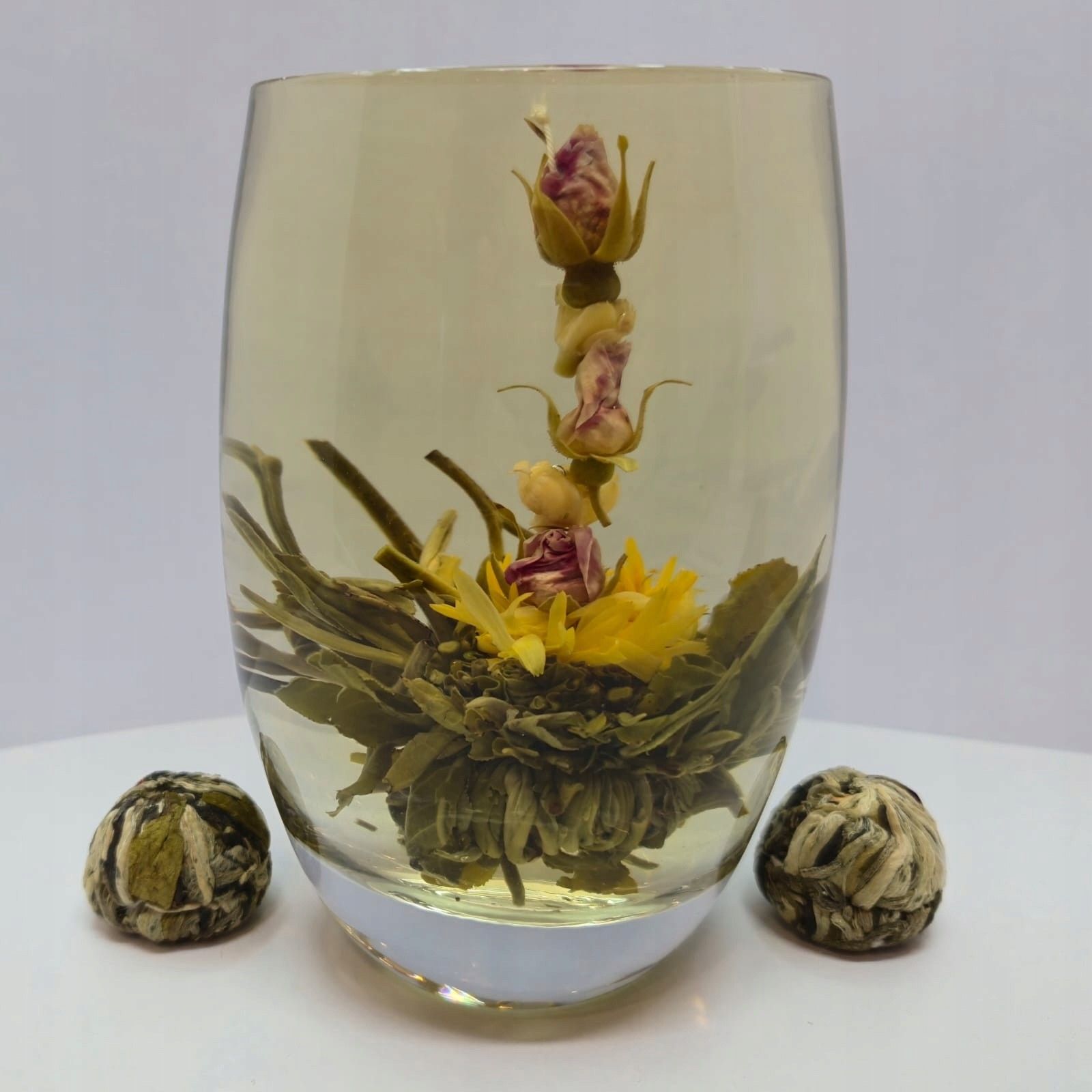 Herbata Winoszarnia Herbata Kwitnąca Zielona Wysoka Różyczka Tall Rose ...