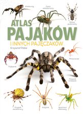 Zdjęcie Atlas Pająków - Białobrzegi