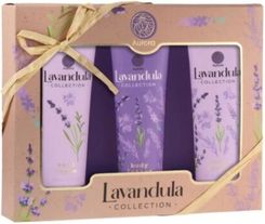 Zdjęcie Aurora Lavandula zestaw kosmetyków 1 sztuka - Jedwabne