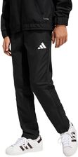 Zdjęcie Spodnie dla dzieci adidas Entrada 26 Presentation - Brzozów
