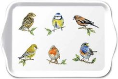 Zdjęcie AMBIENTE Taca z melaniny BIRD SPECIES (ptaki) (13718135) - Sulejówek