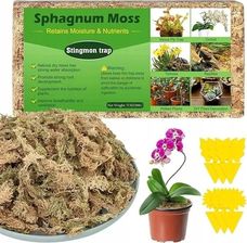 Zdjęcie Mech Torfowiec Sphagnum Podłoże Do Storczyków Terrarium 13L 5904720455070 - Śrem
