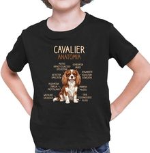 Zdjęcie Cavalier – anatomia - dziecięca koszulka na prezent - Kędzierzyn-Koźle