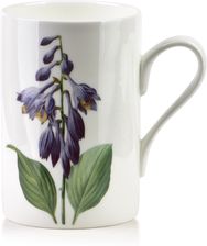 Zdjęcie Kubek ARMANO BONE CHINA zielony 410 ml HTNE5002SR003GJN - Ulanów