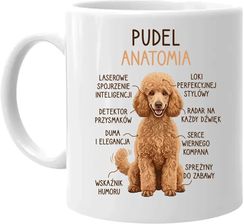 Zdjęcie Pudel - anatomia - kubek na prezent - Kędzierzyn-Koźle