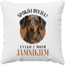 Zdjęcie Spokój ducha? Tylko z moim jamnikiem - poduszka na prezent - Baborów