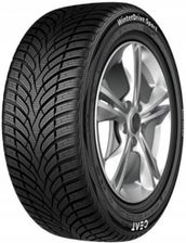 Ceat WINTERDRIVE SPORT 245/40R19 98W XL FR