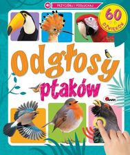 Zdjęcie Odgłosy ptaków 60 dźwięków - Kleczew