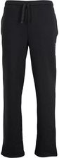 Zdjęcie SPODNIE BABOLAT SWEAT PANT CORE MEN DARK GREY - Bobolice