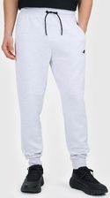 Zdjęcie Spodnie Męskie Dresowe 4F Sportowe Dresy Joggery L M1676 SS26 - Baborów