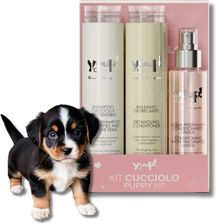 Zdjęcie Yuup! Home Puppy Kit Zestaw - Przeworsk