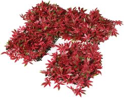 Zdjęcie Panel wertykalny Red Maple 25X25 cm KOD: 8422502311958 - Kórnik