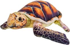 Zdjęcie Żółw brązowy 38 cm (5901703123988) - Ropczyce