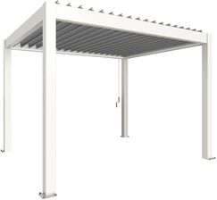 Zdjęcie Biohort Pergola 3,5 m x 3 m Biało-Srebrna - Chojnów