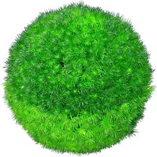 Zdjęcie Kula Dekoracyjna Koper 30cm - Chojnów