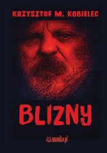 Zdjęcie Blizny - Rejowiec Fabryczny