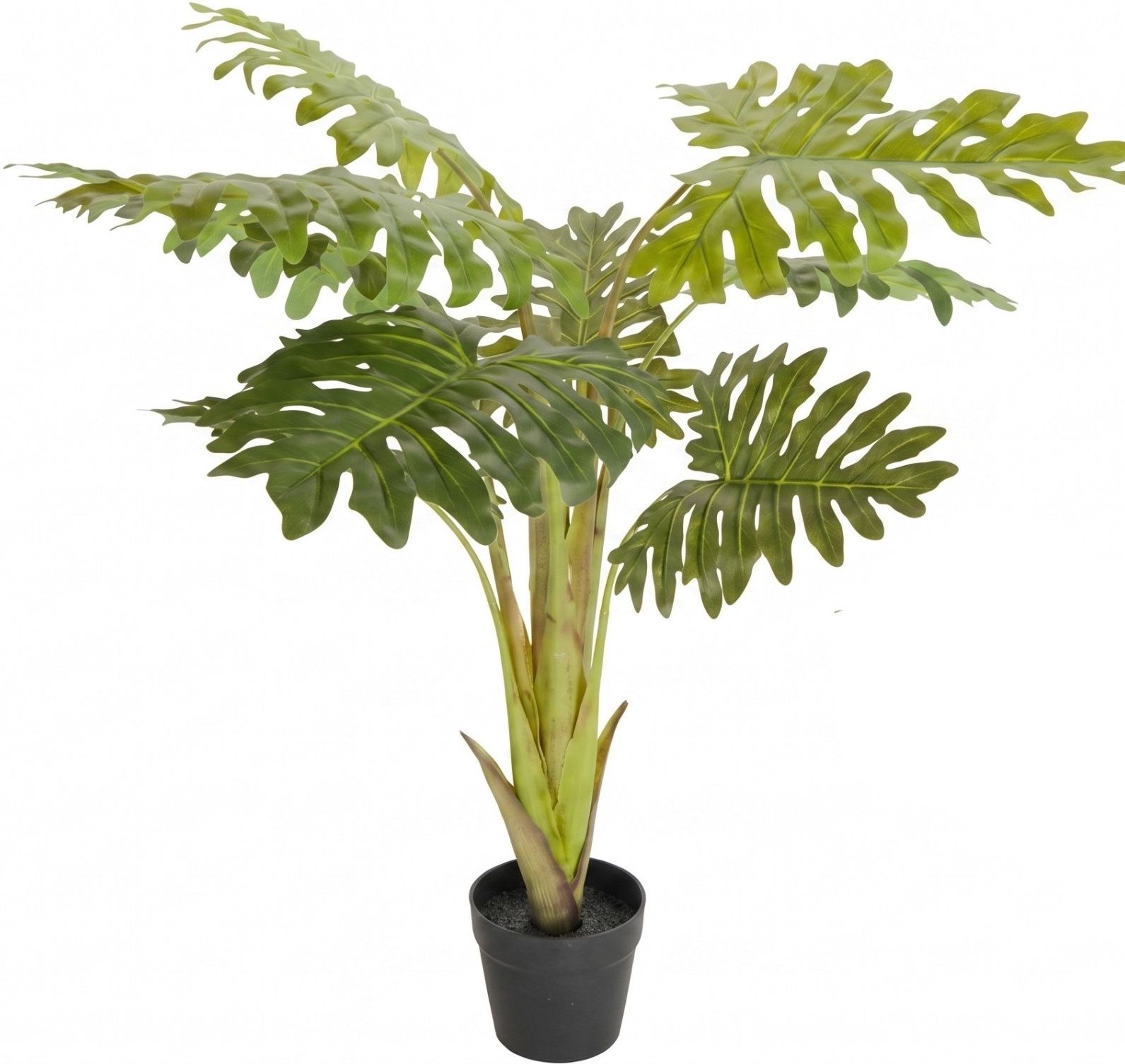 Botanical Decoration Filodendron podwjnie pierzasty sztuczny zielony 110  cm 318001225PHILODENDRON - Opinie i atrakcyjne ceny na Ceneo.pl