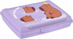 Zdjęcie Keeeper pojemniki deco-click-box mini Violet 0,5l 4052396133165 - Ostrołęka