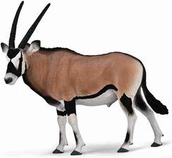 Zdjęcie Collecta Gemsbok (4892900800561) - Poznań