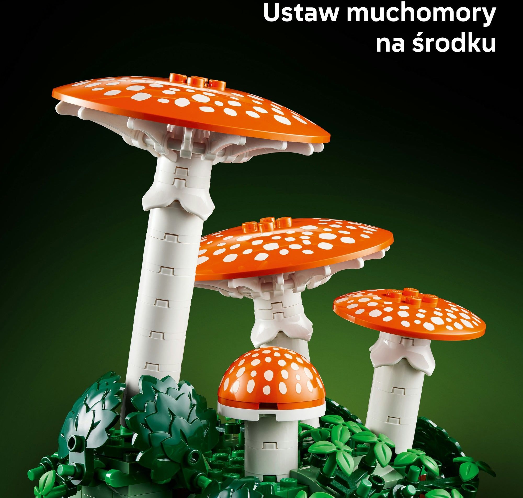 LEGO Botanicals 11505 Grzyby leśne - Ceny i opinie - Ceneo.pl