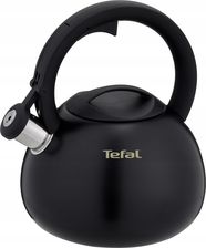 Zdjęcie Tefal N418041 - Sucha Beskidzka