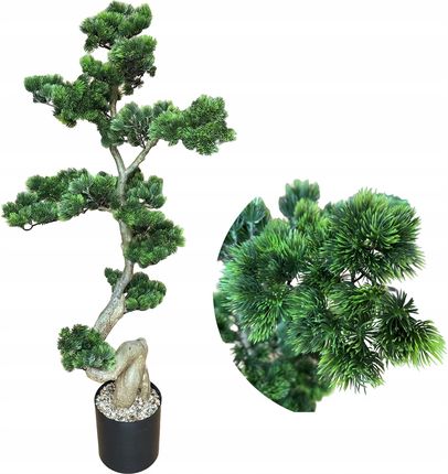 Bonsai drzewko - ceny, opinie, sklepy - www.taniomania.pl