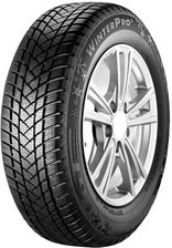Gtrdial Winterpro2 205/55R16 91T