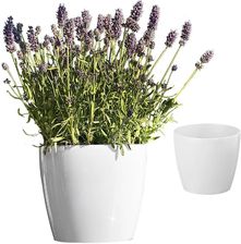 Zdjęcie Lamela Waza Magnolia Biały 30 cm (493376) - Reszel