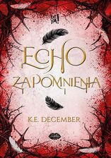 Zdjęcie Echo zapomnienia - Poznań