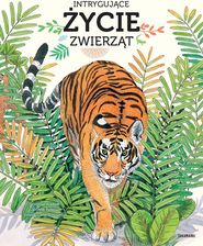 Zdjęcie Intrygujące życie zwierząt  - Czerniejewo