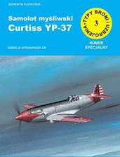 Zdjęcie Samolot myśliwski Curtiss YP-37 (numer specjalny) - Radzyń Podlaski