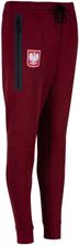 Zdjęcie Spodnie Nike Polska Fleece Jogger IO8540-677 - Kobyłka