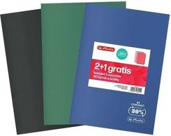 Zdjęcie Herlitz Zeszyt A5/60K Kratka Eco Pp 3Szt - Jordanów